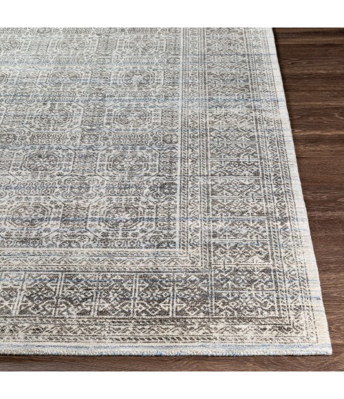Surya Wembley WMY-2301 2  x 3  Rug