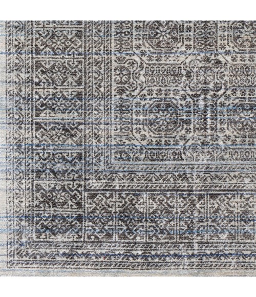 Surya Wembley WMY-2301 2  x 3  Rug