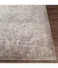 Surya Wembley WMY-2304 2  x 3  Rug