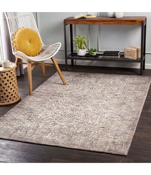 Surya Wembley WMY-2304 2  x 3  Rug