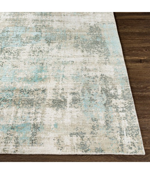 Surya Wilson WSN-2305 2  x 3  Rug