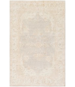 Surya Westchester WTC8005 Ivory Taupe Area Rug 6 ft. X 9 ft. Rectangle
