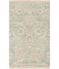 ZAINAB RUG Livabliss Zainab ZAI-2302 Area Rug