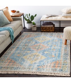 Surya Zainab ZAI2315 Sky Blue Burnt Orange Area Rug 8 ft. 10 in. X 12 ft. Rectangle