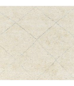 Surya Zara ZAR2301 Cream Beige Area Rug 2 ft. X 3 ft. Rectangle