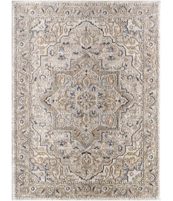 Livabliss Zidane ZDN2301 Ash Slate Grey Taupe Area Rug 5 ft. 3 in. X 7 ft. Rectangle