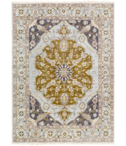 Surya Zeus ZEU7823 Light Gray Charcoal Area Rug 8 ft. X 11 ft. Rectangle