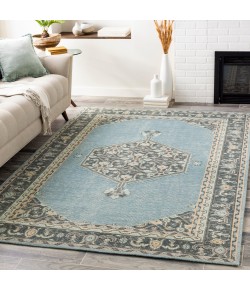 Surya Zahra ZHA4050 Aqua Charcoal Area Rug 3 ft. 6 in. X 5 ft. 6 in. Rectangle