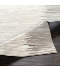 ZANDER RUG Surya Zander ZND-1004-58