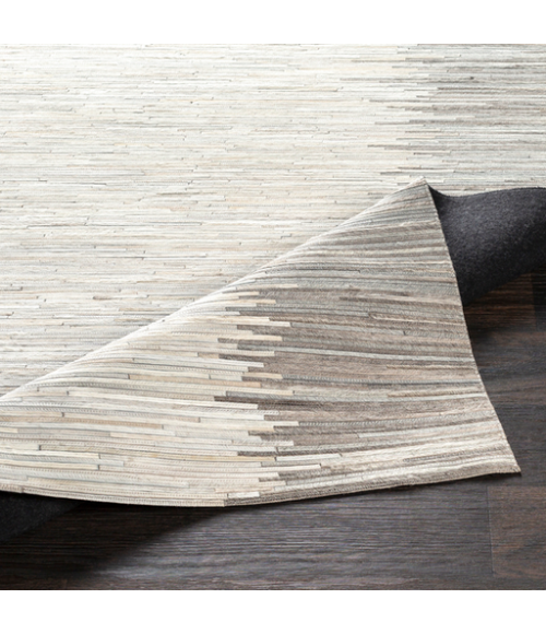 ZANDER RUG Surya Zander ZND-1004-58