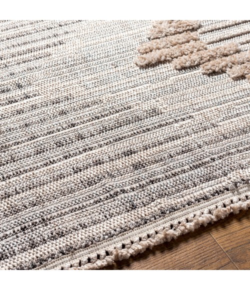 Zaragoza Rug Livabliss Zaragoza Rug ZRZ2300