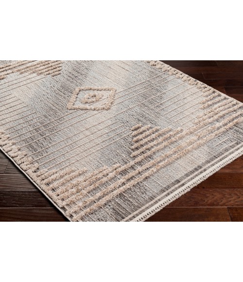 Zaragoza Rug Livabliss Zaragoza Rug ZRZ2305