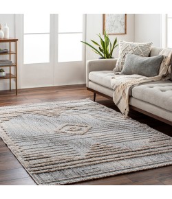 Livabliss Zaragoza ZRZ2305 Medium Gray Light Beige Area Rug 5 ft. 3 in. X 7 ft. Rectangle