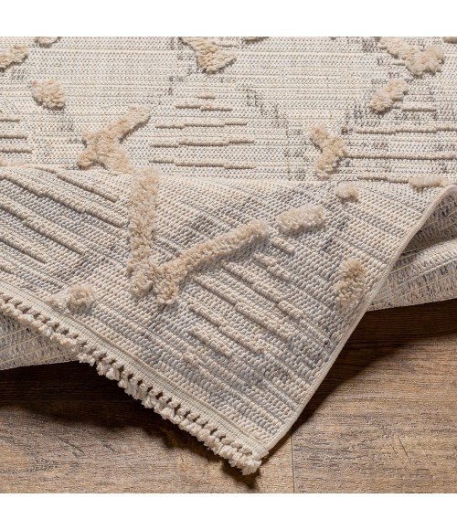 Zaragoza Rug Livabliss Zaragoza Rug ZRZ2311