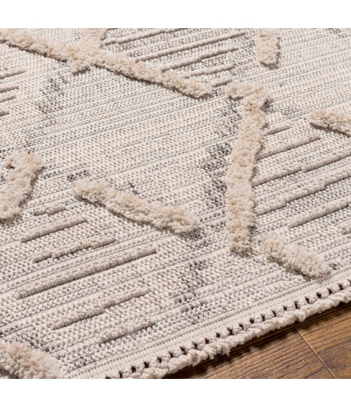 Zaragoza Rug Livabliss Zaragoza Rug ZRZ2311