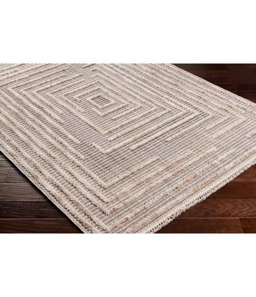 Zaragoza Rug Livabliss Zaragoza Rug ZRZ2315