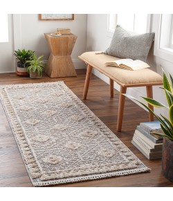 Livabliss Zaragoza ZRZ2318 Light Beige Charcoal Area Rug 2 ft. 7 in. X 7 ft. 3 in. Runner