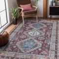 Amer ALASKA Red/Terra ALA-10 2 ft. 7 in. X 10 ft. Rectangle Rug