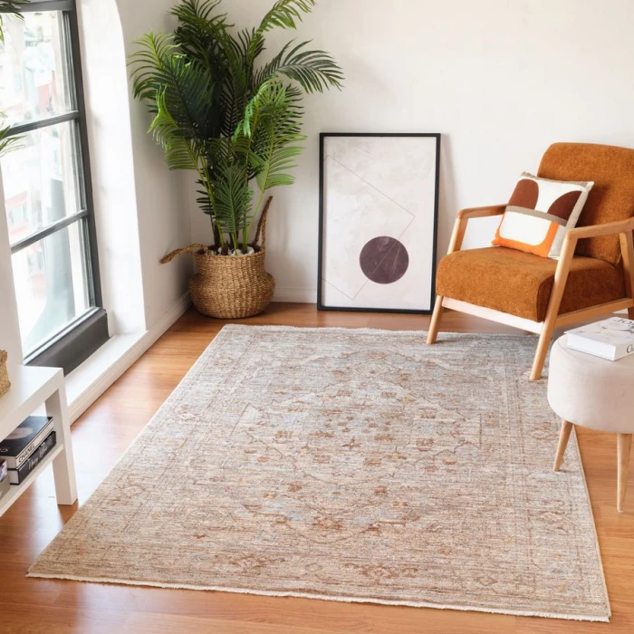 Amer Albany BEIGE ALB-3 2 ft. X 3 ft. Rectangle Rug