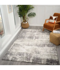 Amer Clifton Gray CLF-2 2 ft. 7 in. X 9 ft. Rectangle Rug