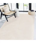 Amer Mexico Ivory MEX-4 2 ft. X 3 ft. Rectangle Rug