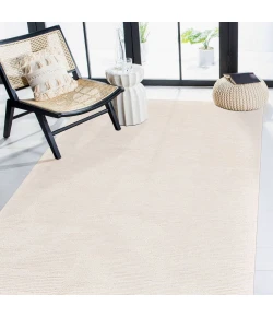 Amer Mexico Ivory MEX-4 2 ft. X 3 ft. Rectangle Rug