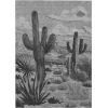Addison Rugs Chantille Gray ACN2496 5ft. x 7ft.6in. Rect. Rug