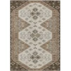 Addison Rugs Chantille Brown ACN2565 5ft. x 7ft.6in. Rect. Rug