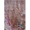 Addison Rugs Chantille Orange ACN2730 8ft. x 10ft. Rect. Rug