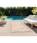 Chantille ACN501 Peach 2'3" x 7'6" Rug