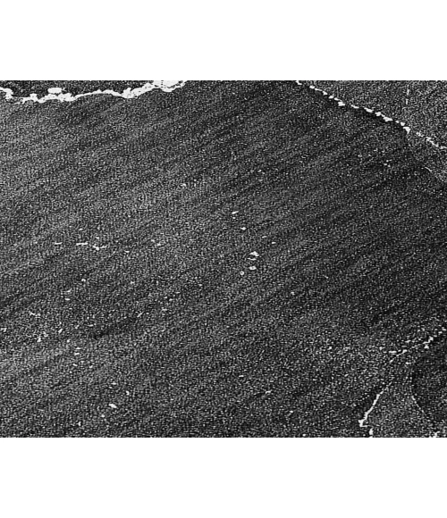 Chantille ACN503 Gray 8' x 8' Rug