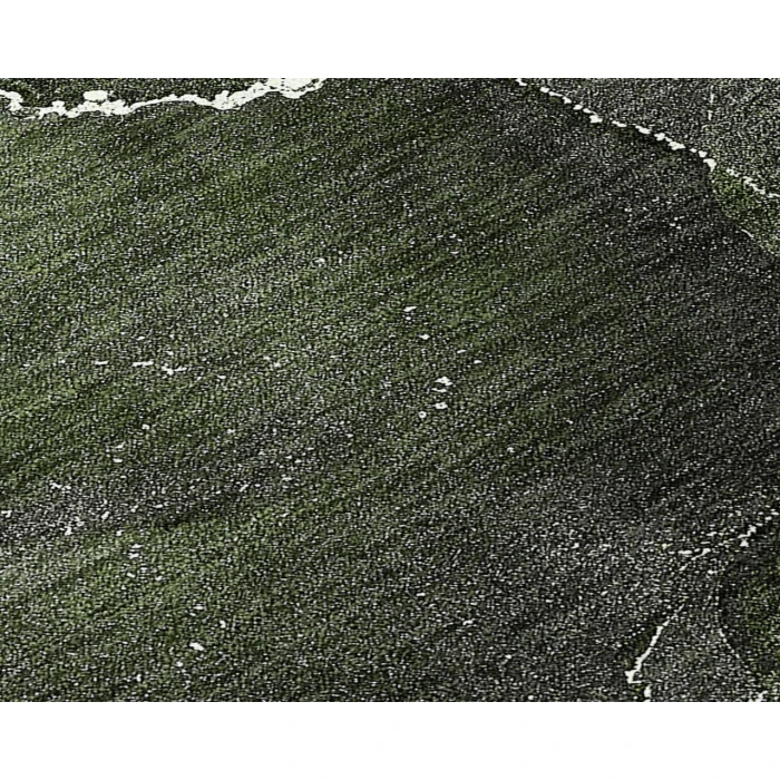 Chantille ACN503 Green 8' x 10' Rug
