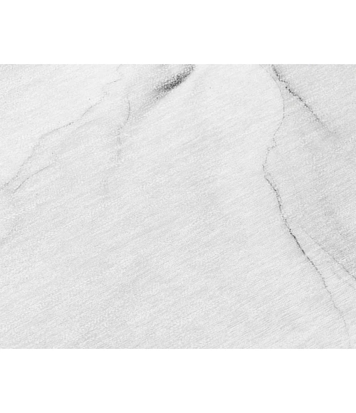 Chantille ACN515 Gray 2'6" x 3'10" Rug