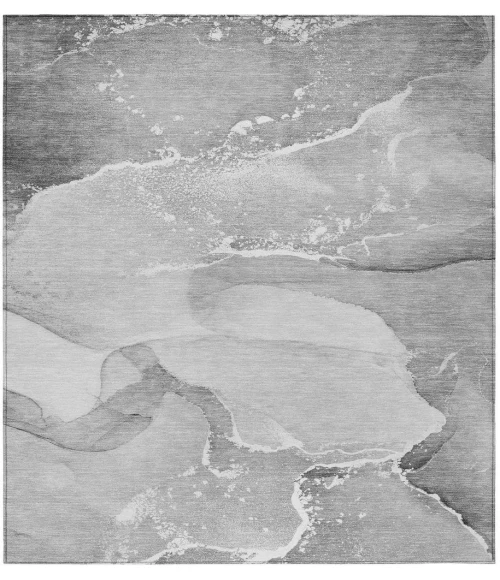 Chantille ACN517 Gray 2'6" x 3'10" Rug