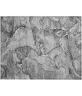 Chantille ACN519 Pewter 1'8" x 2'6" Rug
