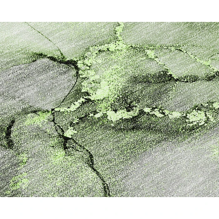 Chantille ACN520 Green 8' x 10' Rug
