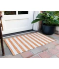Chantille ACN528 Salmon 1'8" x 2'6" Rug