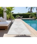 Chantille ACN539 Ivory 2'3" x 7'6" Rug
