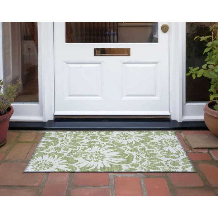 Chantille ACN551 Aloe 1'8" x 2'6" Rug