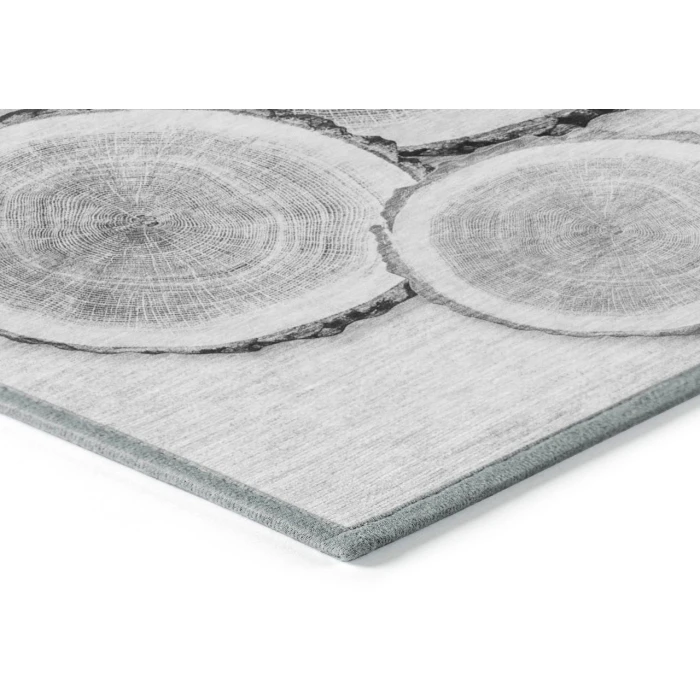 Chantille ACN575 Gray 8' x 10' Rug