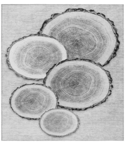 Addison Chantille ACN575 Gray 3 ft. x 5 ft. Rectangle Rug