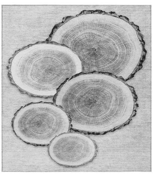 Chantille ACN575 Gray 3' x 5' Rug