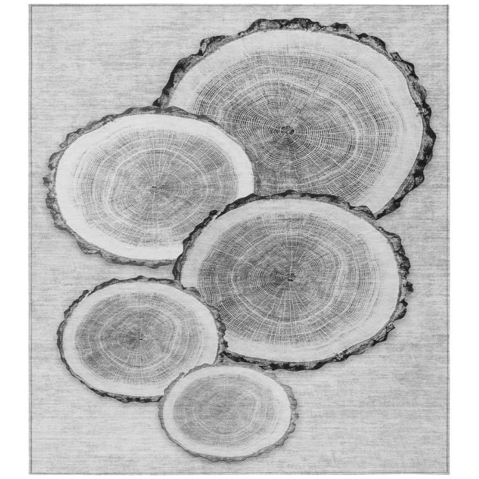 Chantille ACN575 Gray 8' x 10' Rug