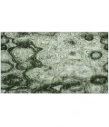 Chantille ACN579 Green 1'8" x 2'6" Rug