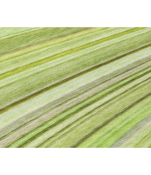 Chantille ACN585 Aloe 8' x 8' Rug