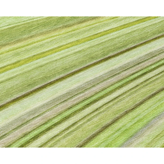 Chantille ACN585 Aloe 1'8" x 2'6" Rug
