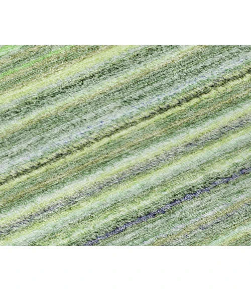 Chantille ACN598 Green 8' x 10' Rug