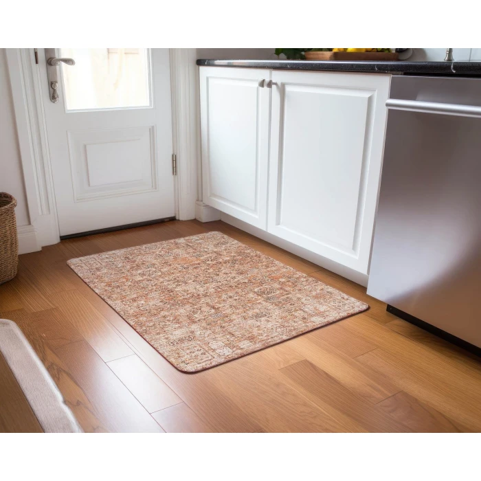 Chantille ACN611 Salmon 1'8" x 2'6" Rug