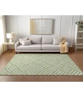 Chantille ACN620 Aloe 5' x 7'6" Rug