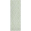 Addison Chantille ACN621 Mint 2 ft. 3 in. x 7 ft. 6 in. Runner Rug
